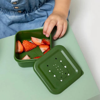 Snack Box Nesting 3pcs Mr. Alligator