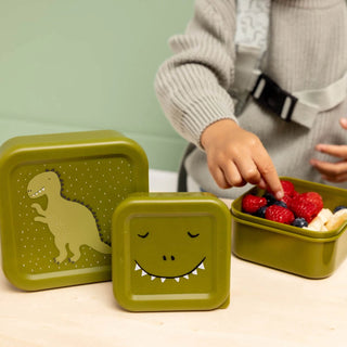 Snack Box Nesting 3pcs Mr. Dino
