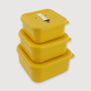 Snack Box Nesting 3pcs Mr. Lion