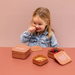 Snack Box Nesting 3pcs Mrs. Cat