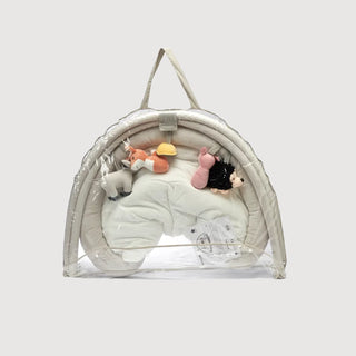 Baby Gym