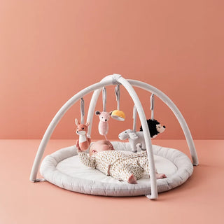 Baby Gym