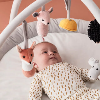 Baby Gym