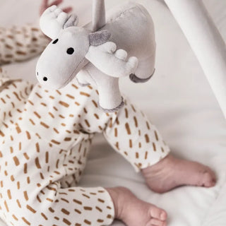 Baby Gym