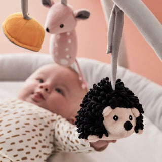 Baby Gym