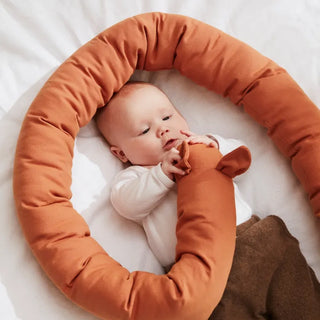 Bed Snake Ed