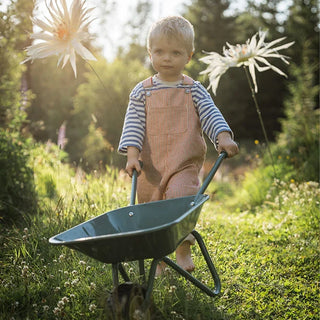 Wheelbarrow