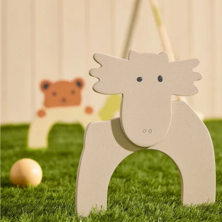 Croquet Set