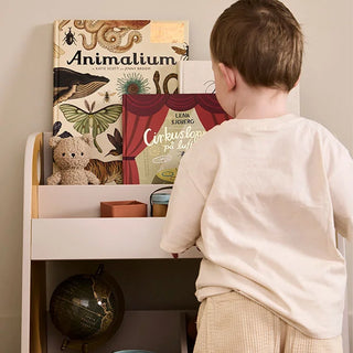 Grey & Mustard Storage