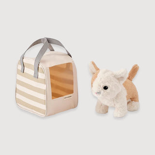 Cat & Carrier Bag