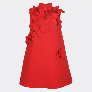 Willow Dress with Floral Appliqué