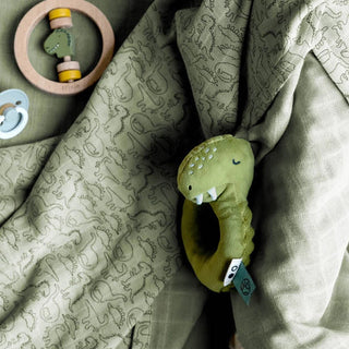 Mr. Dino Rattle
