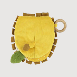 Mr. Lion Sensory Book