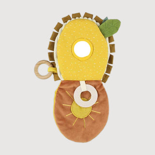 Mr. Lion Sensory Book