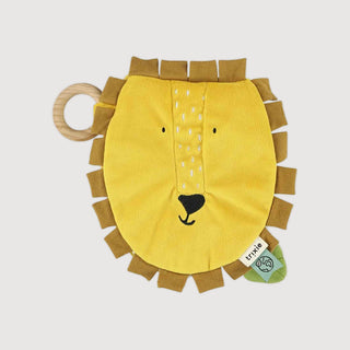Mr. Lion Sensory Book