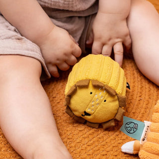 Sensory Blocks 4 Animals