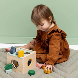 Wooden Shape Sorter