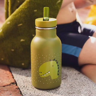 Insulated Water Bottle Mr. Dino 350ml
