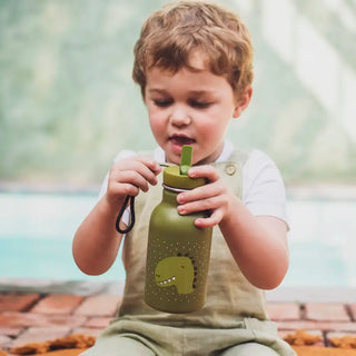 Insulated Water Bottle Mr. Dino 350ml