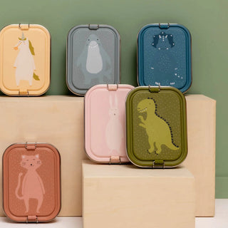 Large Lunch Box Mr. Dino