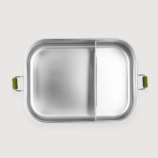 Large Lunch Box Mr. Dino