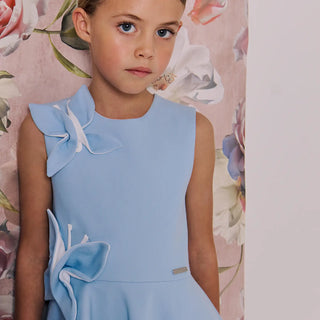 Butterfly Dress with 3D Butterfly Appliqués