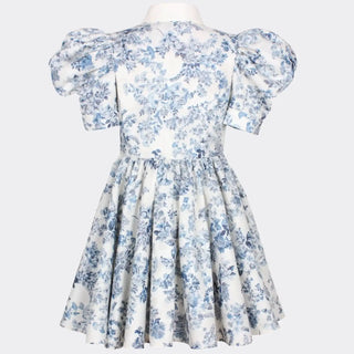 Carousel Dress in Blossom White and Blue Floral Jacquard