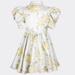 Carousel Dress in Wildflower Meadow Jacquard