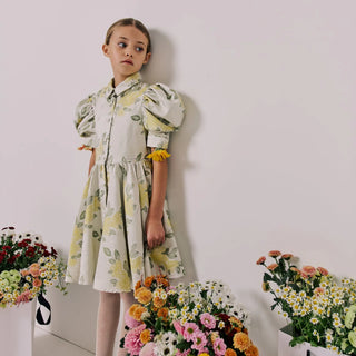 Carousel Dress in Wildflower Meadow Jacquard