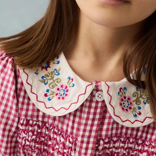 Raspberry Delina Dress in Cotton Brushed Flannel