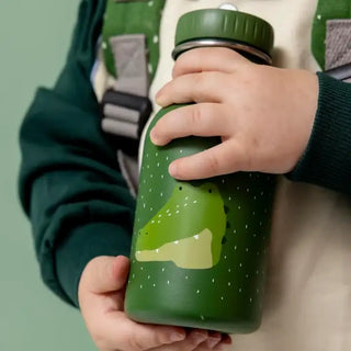 Insulated Water Bottle Mr. Alligator 350ml