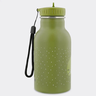 Insulated Water Bottle Mr. Dino 350ml