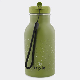 Insulated Water Bottle Mr. Dino 350ml