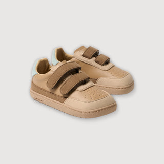 Bark Brown Petra Mini