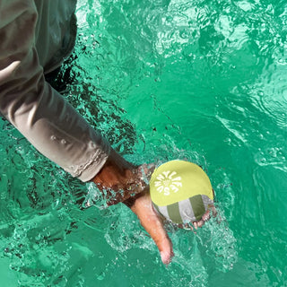 Skim Ball Set Tides Out in Citrus