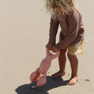 Sand Claws Lobster