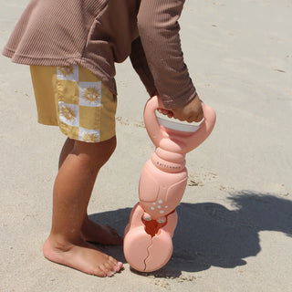 Sand Claws Lobster
