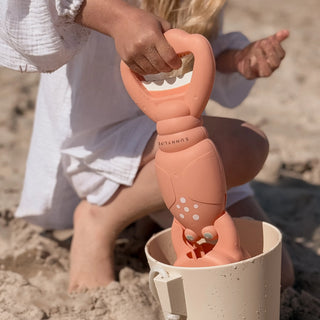 Sand Claws Lobster