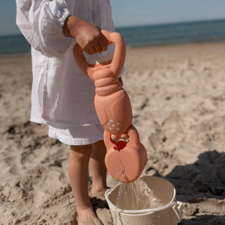 Sand Claws Lobster